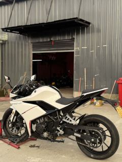 Kayo 250RR Thornbird - photo 3