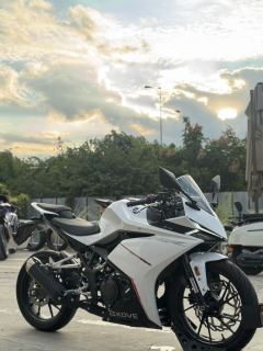 Kayo 250RR Thornbird - photo 5