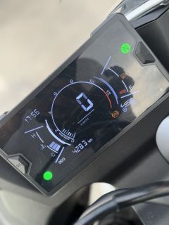 Kayo 250RR Thornbird - photo 8