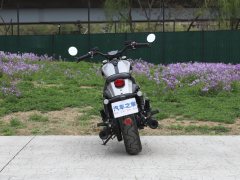 Benda 250 - ფოტო 6