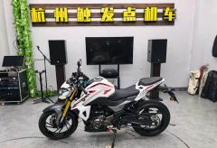 Haojue DR300 - фото 1