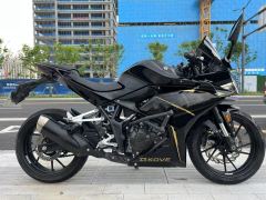 Kayo 250RR Thornbird - ფოტო 4