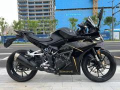 Kayo 250RR Thornbird - ფოტო 7