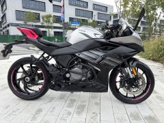 CFMOTO 250SR - ფოტო 2