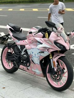 CFMOTO 250SR - ფოტო 2