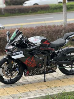 Kayo 450RR - ფოტო 3