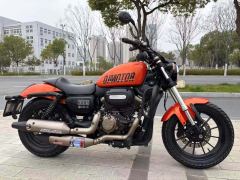 QJMOTOR Flash 300 - photo 2