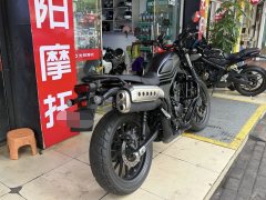 Honda CL300 - photo 4