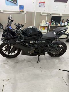 QJMOTOR SRK 250 - photo 7