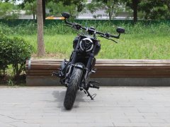 Voge CU250 - фото 2