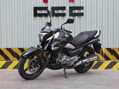 Haojue Suzuki GW250 - ფოტო 1