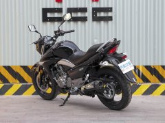 Haojue Suzuki GW250 - ფოტო 6