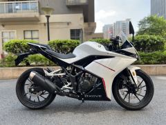 Kayo 250RR Thornbird - ფოტო 2
