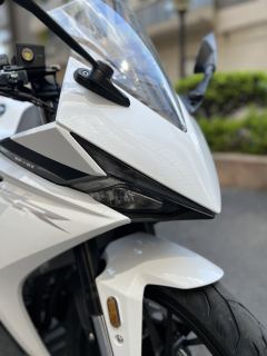 Kayo 250RR Thornbird - ფოტო 4