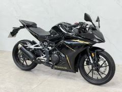 Kayo 250RR Thornbird - ფოტო 1