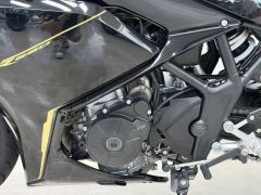 Kayo 250RR Thornbird - ფოტო 6