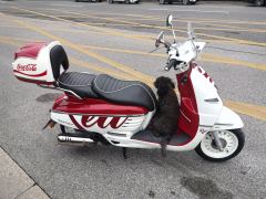 Peugeot DJANGO 150 cc - photo 4
