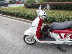 Peugeot DJANGO 150 cc - photo 7