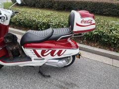 Peugeot DJANGO 150 cc - photo 8