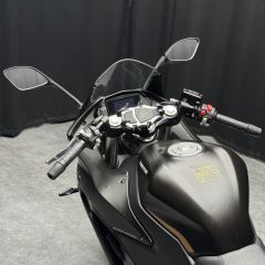 QJMOTOR SRK 250 - фото 2