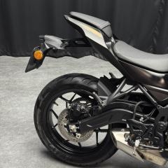 QJMOTOR SRK 250 - фото 5
