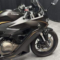 QJMOTOR SRK 250 - фото 9