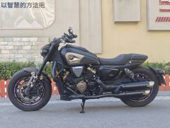 QJMOTOR Shan 600 560 cc - ფოტო 6