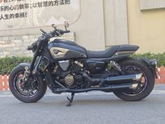 QJMOTOR Shan 600 560 cc - ფოტო 7