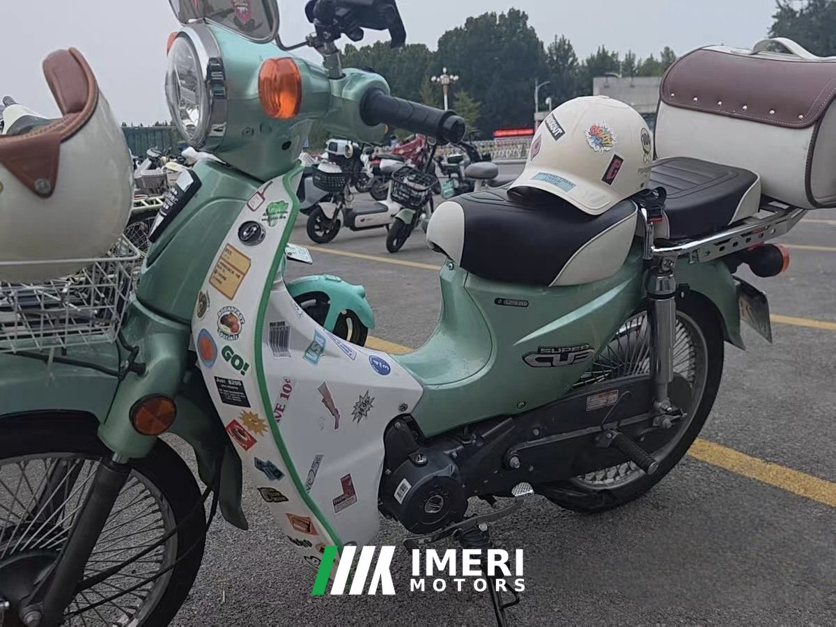2026 Luojia 110 cc
