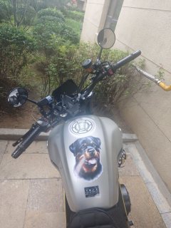 Voge AC525 500 cc - ფოტო 4