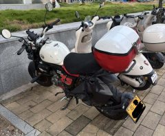 Zongshen Little Bear 150 cc - ფოტო 1