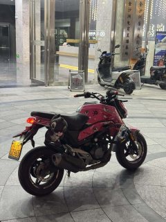 CFMOTO ST Baboon 125 cc - ფოტო 3
