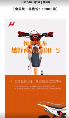Hengjian Z300 - фото 2
