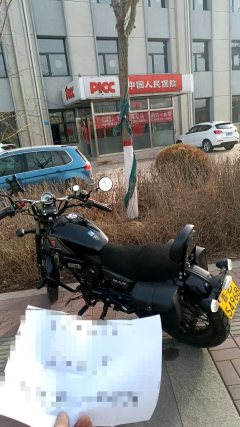 Cyclone RE250 - ფოტო 2