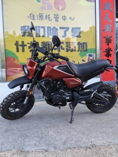 Wangjiang Buleisitong D5 150 cc - ფოტო 1