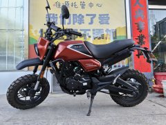 Wangjiang Buleisitong D5 150 cc - ფოტო 11