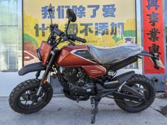 Wangjiang Buleisitong D5 150 cc - ფოტო 2