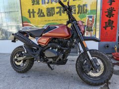 Wangjiang Buleisitong D5 150 cc - ფოტო 4