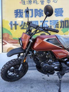 Wangjiang Buleisitong D5 150 cc - ფოტო 6