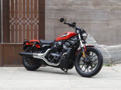 Harley-Davidson Nightster 975 cc - ფოტო 12