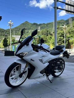 QJMOTOR SRK 250 - photo 2