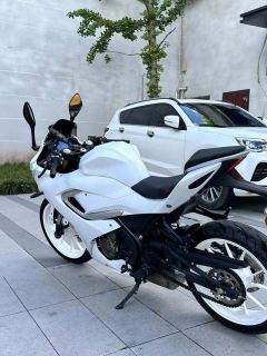 QJMOTOR SRK 250 - photo 3