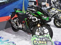 Dayun 200R - ფოტო 11