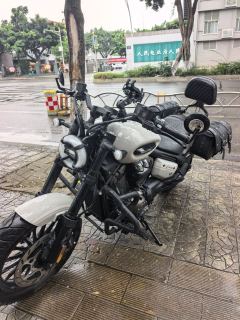 Benda Chinchilla 350 - photo 1