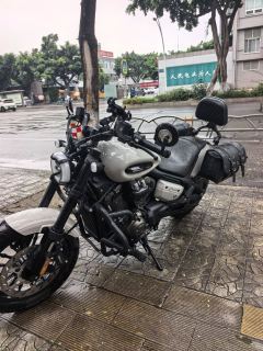 Benda Chinchilla 350 - photo 6