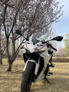 Cyclone RC250 - ფოტო 4