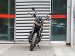 Harley-Davidson X 500 - ფოტო 2