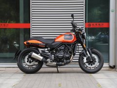 Harley-Davidson X 500 - ფოტო 5