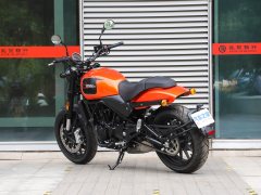 Harley-Davidson X 500 - ფოტო 6