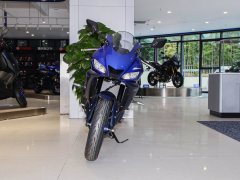 Yamaha YZF-R3 320 cc - ფოტო 11
